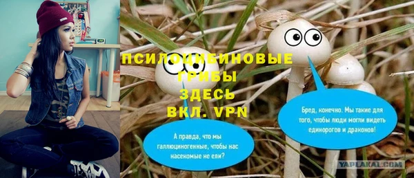 MESCALINE Бородино