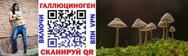 Галлюциногенные грибы GOLDEN TEACHER  Купить закладки  Артёмовск 